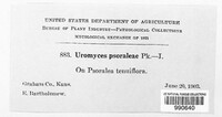 Image Associated With the Occurence